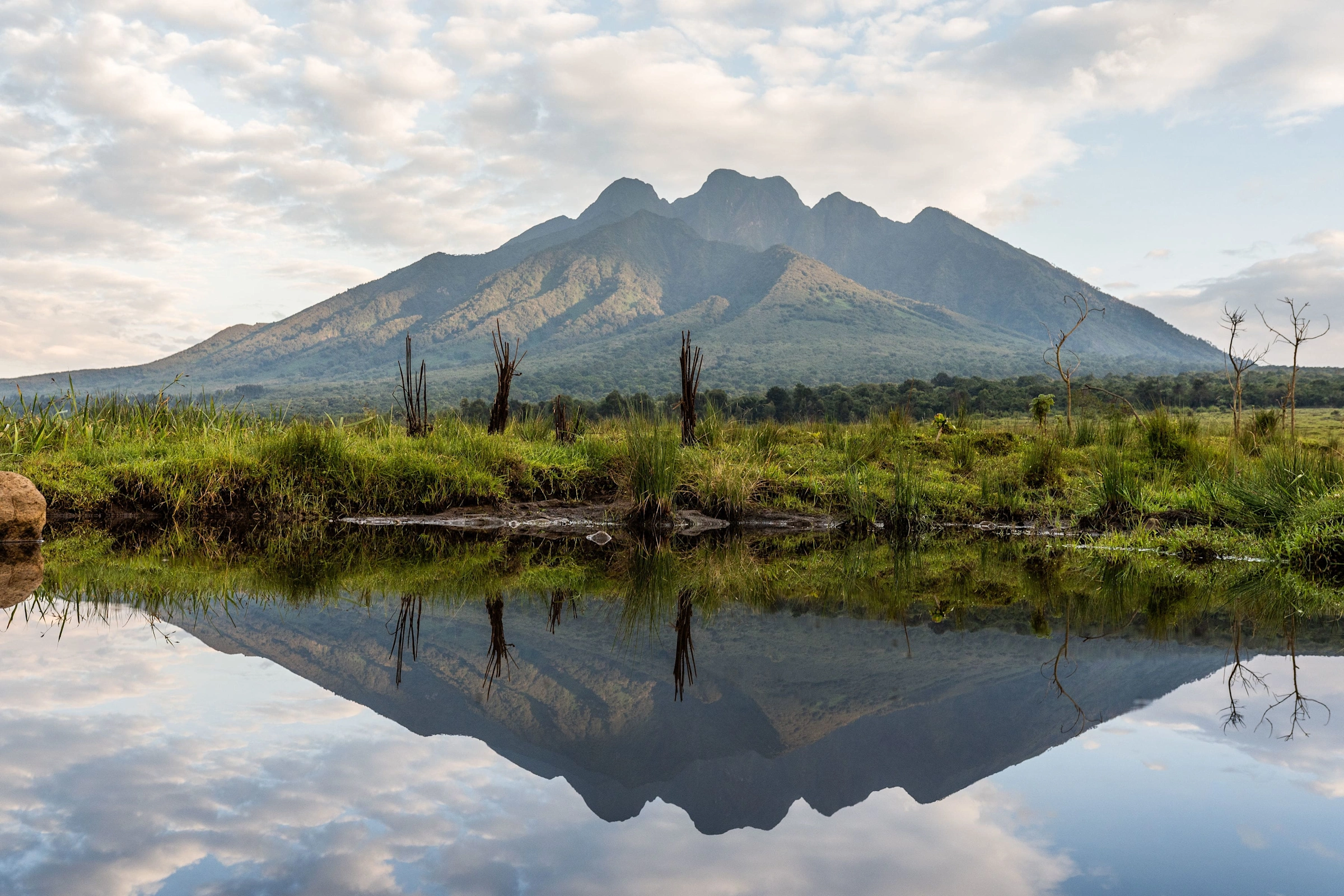 Rwanda luxury gorilla trekking Volcanoes National Park